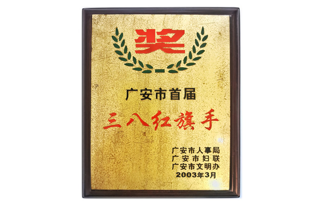 三八红旗手