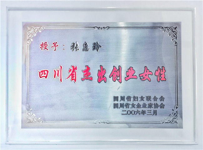 杰出创业女性