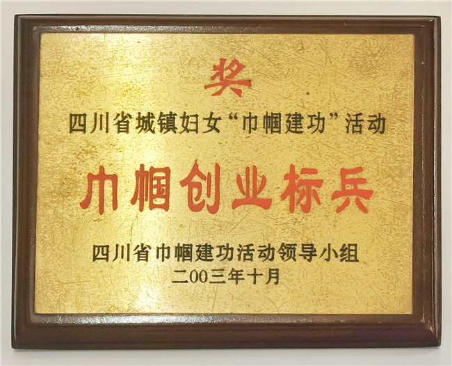 巾帼创业标兵