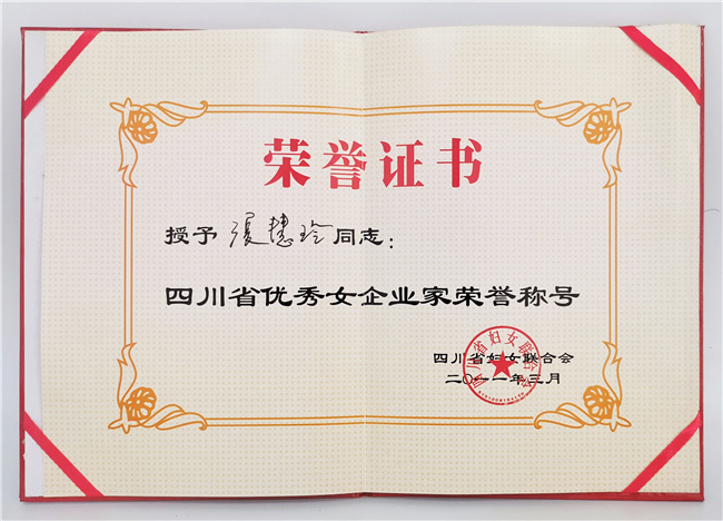 优秀女企业家